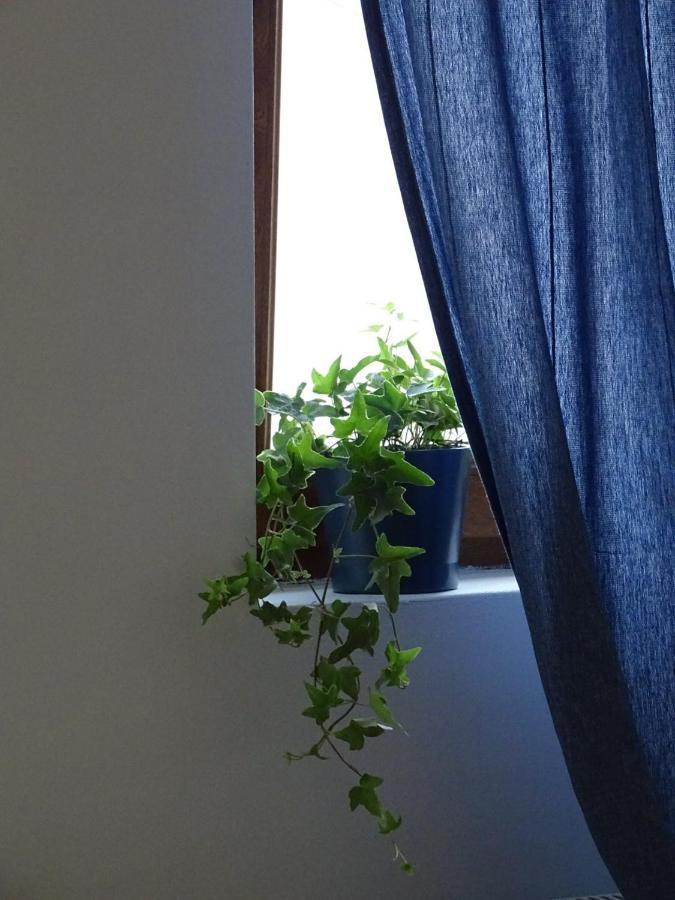 Blue Apartment Beograd Bagian luar foto